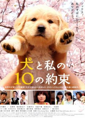 10 обещаний моей собаке (2008)