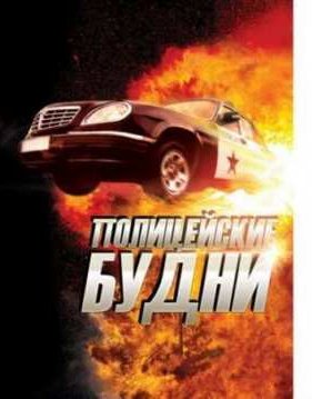 Полицейские будни (2012)