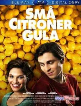 Любовь и лимоны (2013)