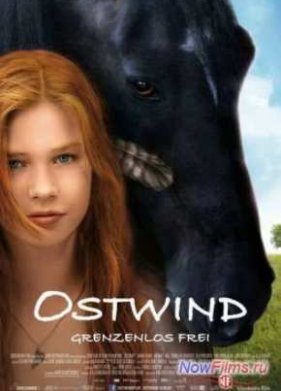 Восточный ветер (2013)