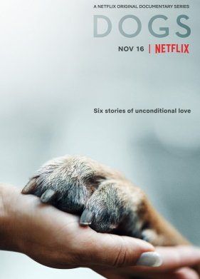 Собаки (2018)