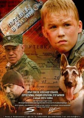 Путевка в жизнь (2013)