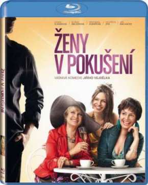 Женщины в соблазне (2010)