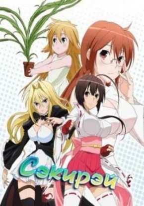 Сэкирэй (2008)