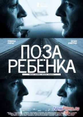   (2013)