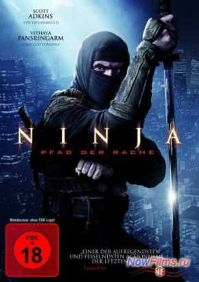Ниндзя 2 (2013)