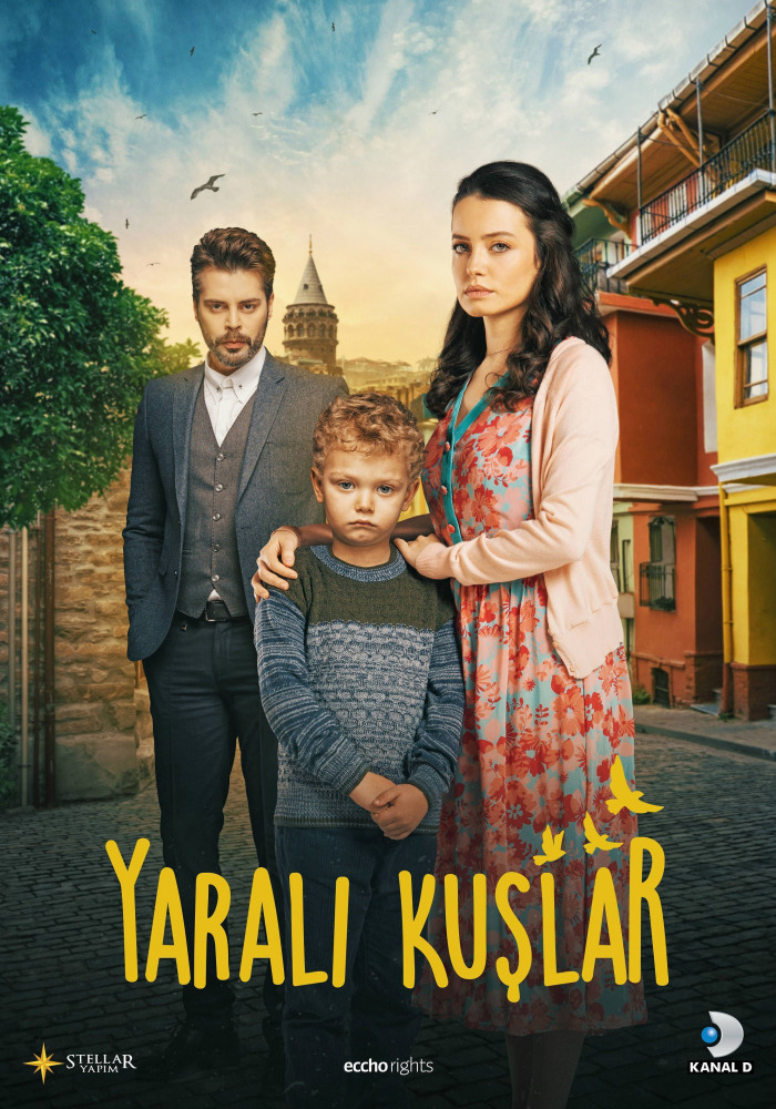 Раненые птицы ( 2019)