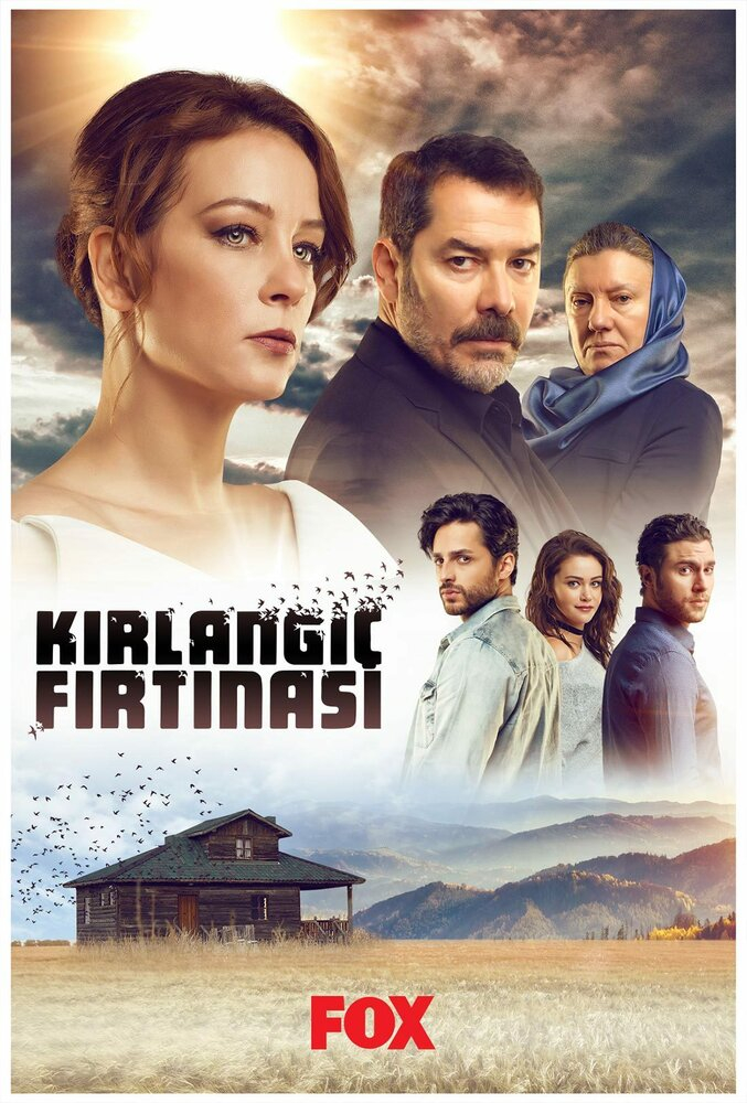   (2017)