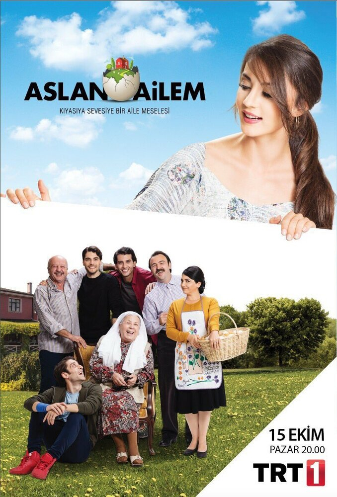   (2017)