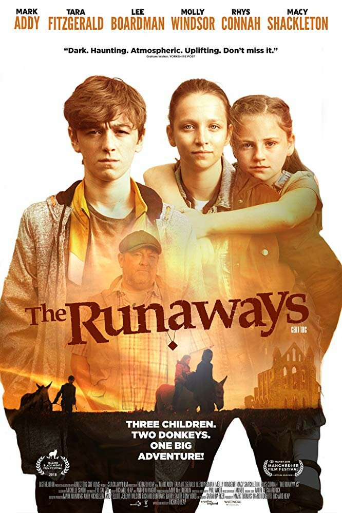  (2019)