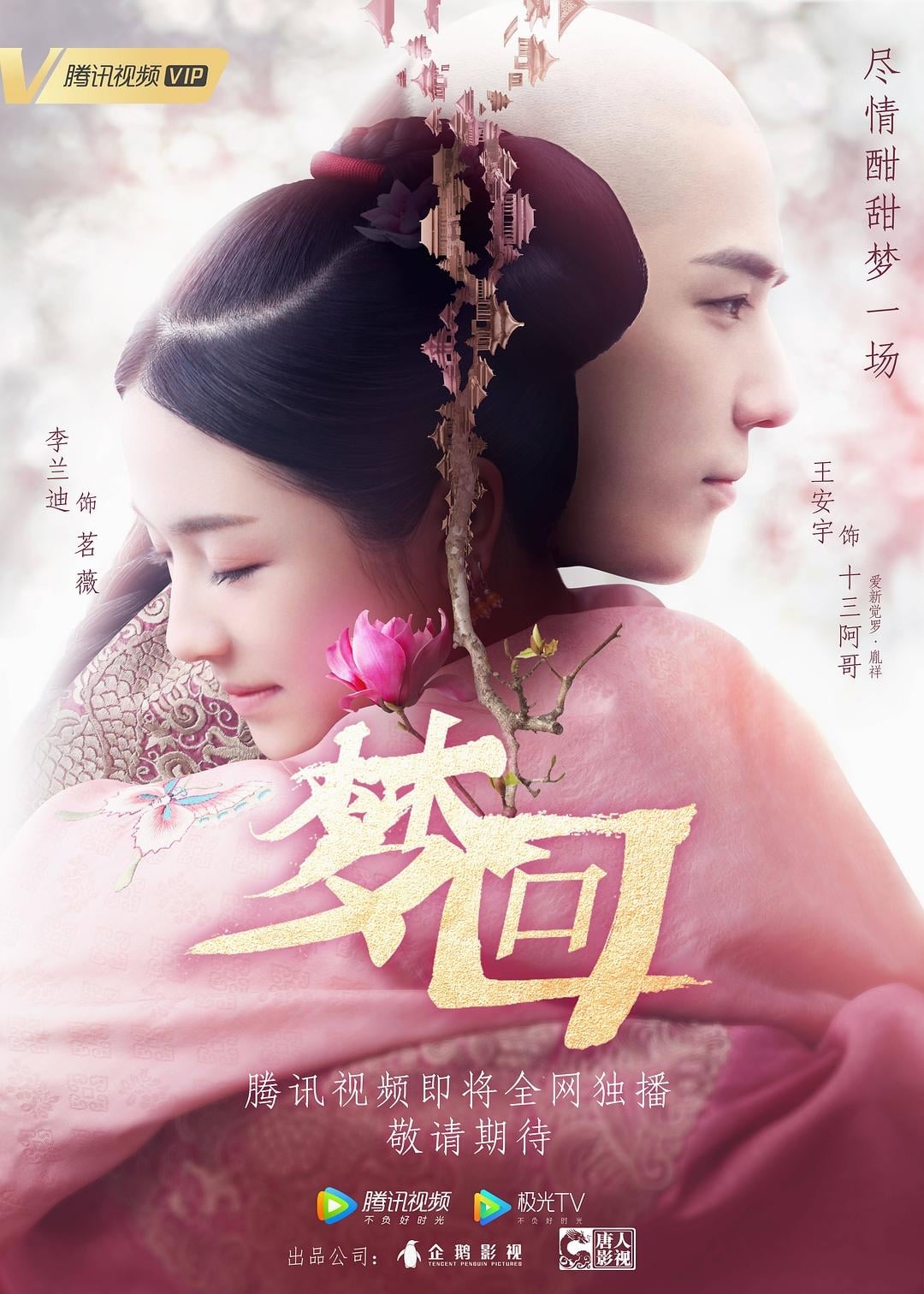     (2019)