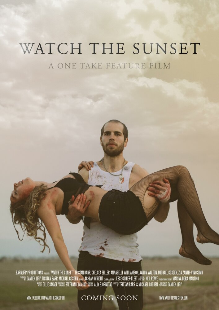   (2017)