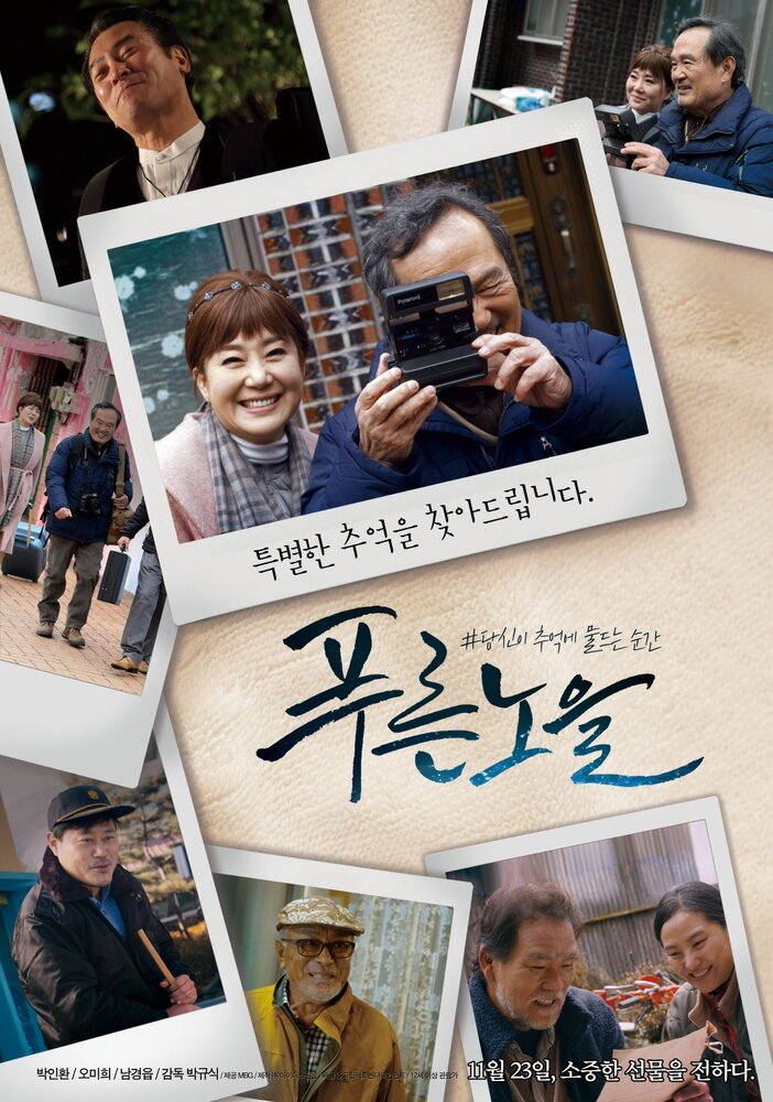   (2017)