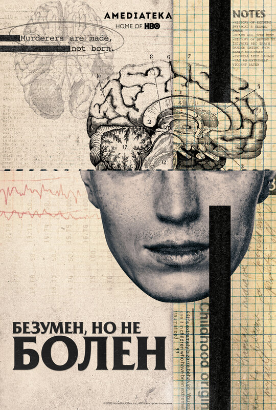 Безумен, но не болен (2020)