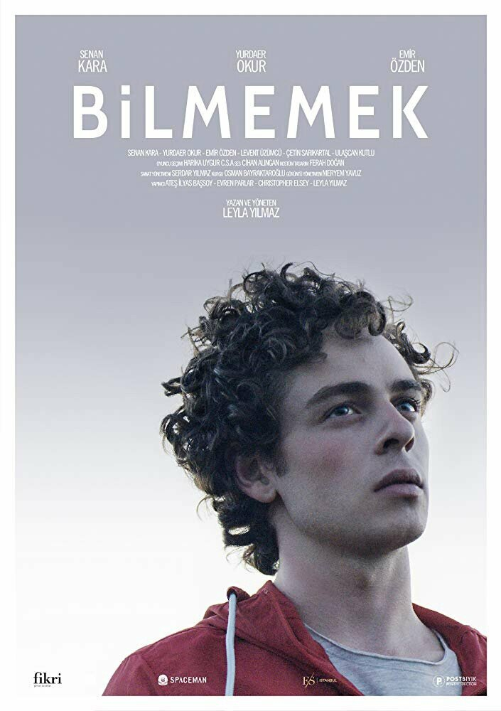  (2019)