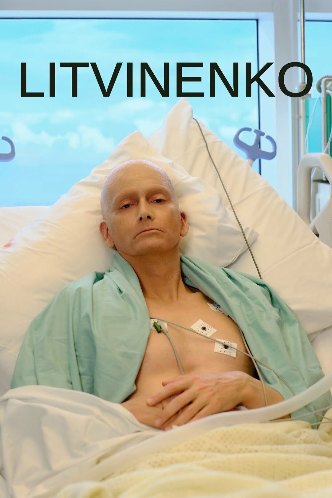 Литвиненко (2022)