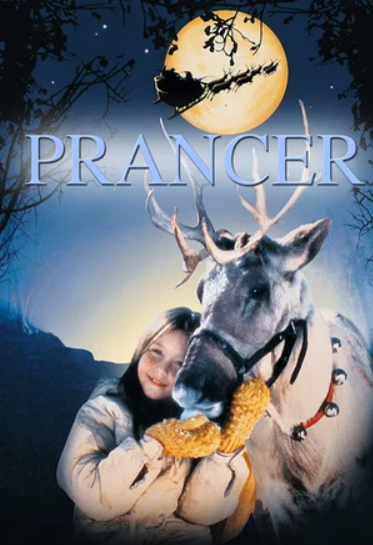  (1989)