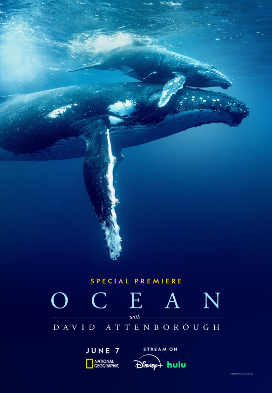 Дэвид Аттенборо: Океан (2025)