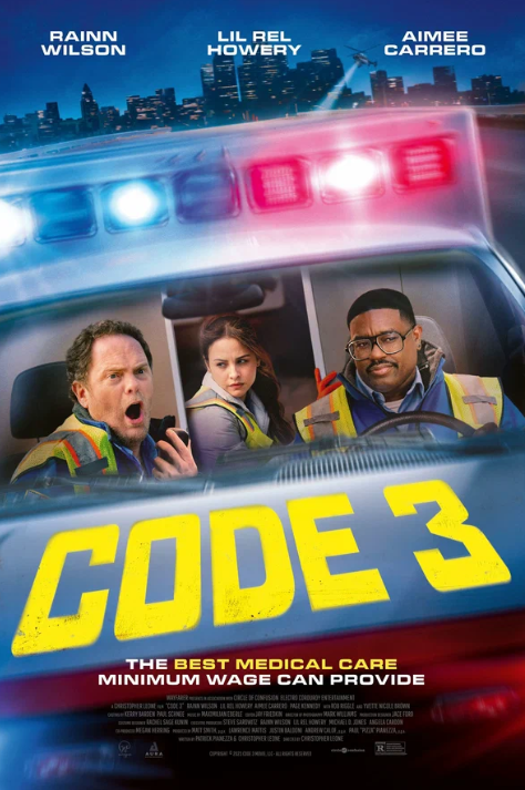  3 (2025)