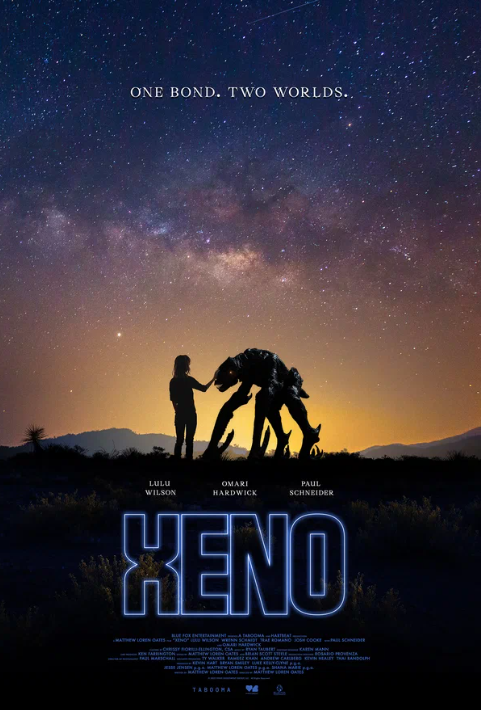  (2025)