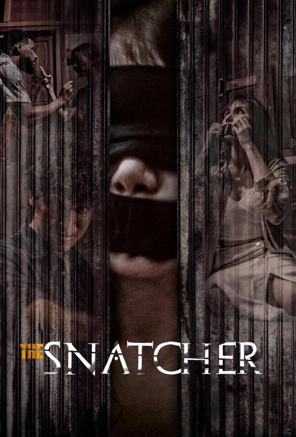 Похититель (2024)