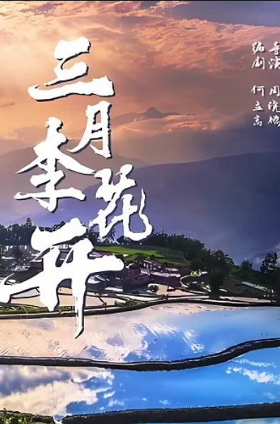 Слива цветет в марте (2025)